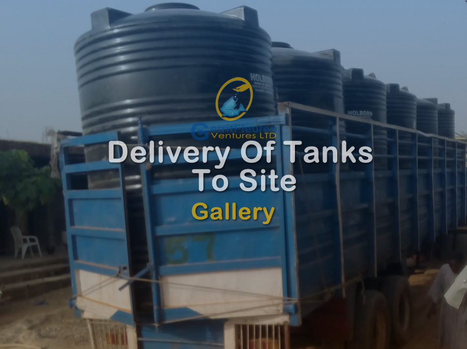 Delvery of Tanks to Site